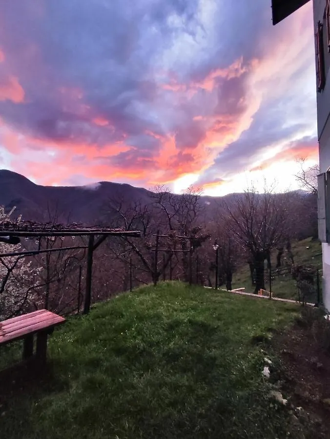 Hotel Albergo Ristorante La Selva Orsigna