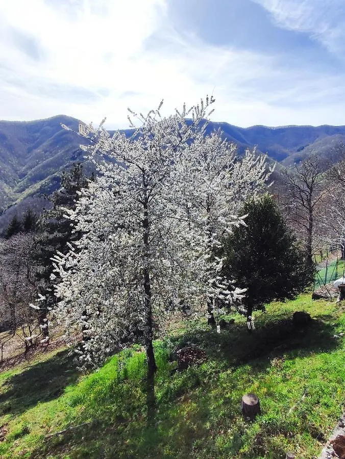 Albergo Ristorante La Selva Orsigna 0*,